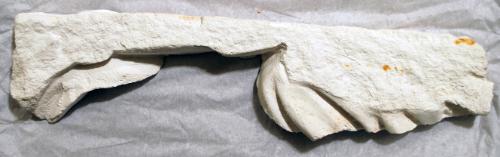Fragment from a Roman Sarcophagus: Cast of Accession Number 1977.066.0001