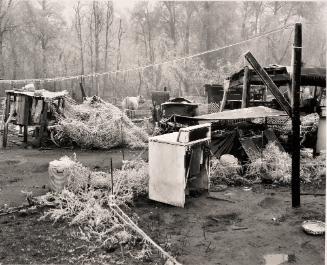Ice Storm, South Carolina, 2004