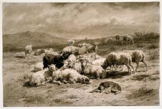 Sheep in a Landscape