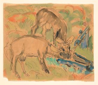 Two Cows Drinking at a Watering Trough