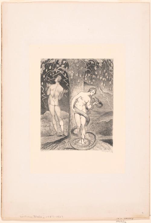 Adam and Eve