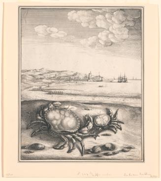 The Crab and Its Mother, Illustration to Aesopics, Or a Second Collection of Fables by John Ogilby