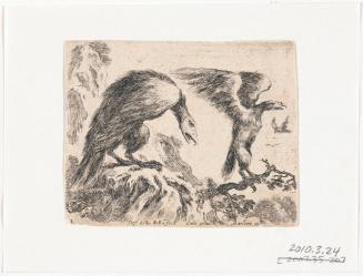 Eagle and Eaglet, no. 2 from the series, "Diversi Animali"