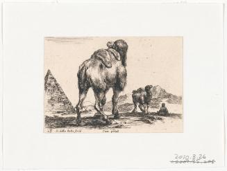 Camel Seen from Behind, no. 18 from the series, "Diversi Animali"