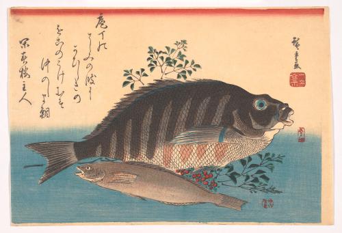 Tai Fish