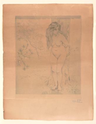 Nude in a Wood
