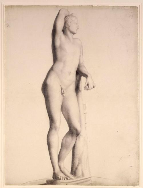 Study after a Plaster Cast of Praxiteles' "Apollino"