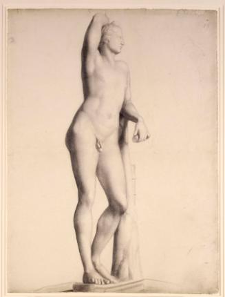 Study After a Plaster Cast of Praxiteles' "Apollino"
