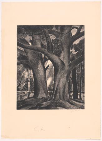 Untitled (Trees)