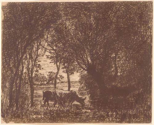 Cattle Beneath the Trees