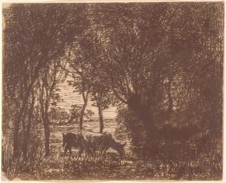 Cattle Beneath the Trees
