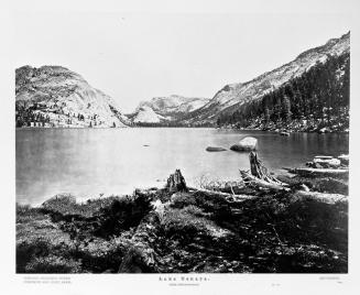 Lake Tenaya, Sierra Nevada Mountains, No. 46; from Portfolio, Eadweard Muybridge: Yosemite Photographs