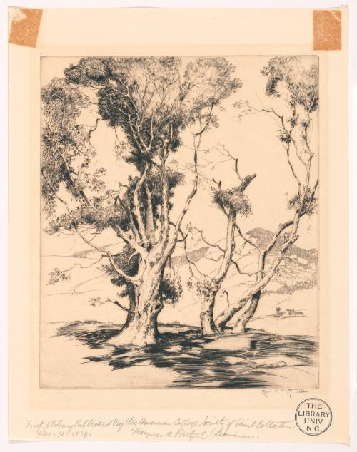 Untitled (Trees)