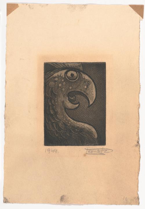 Untitled (Screeching  Bird)