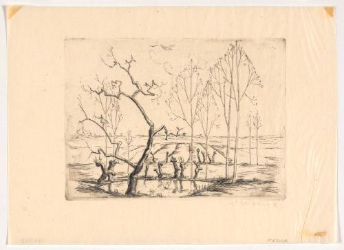 Landscape with Biomorphic Shapes