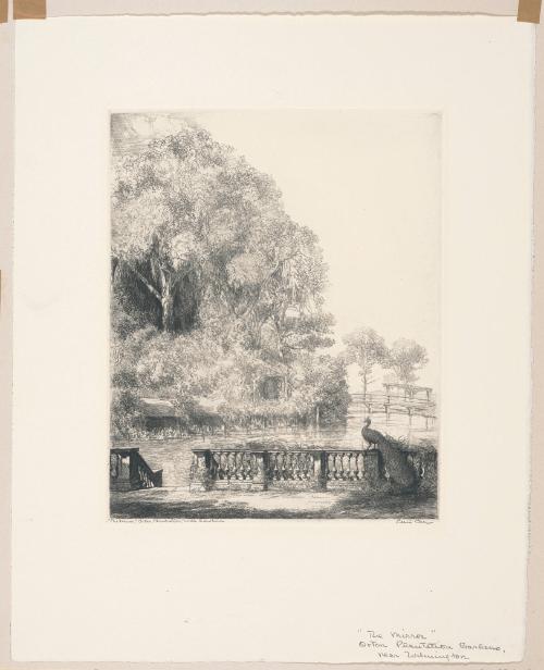 The Mirror, Orton Plantation, plate 8 from albums 1 and 2 of Orr Etchings of North Carolina