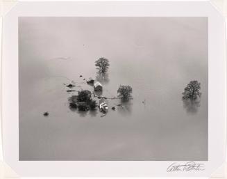 Mississippi River Flood, St. Louis, Missouri