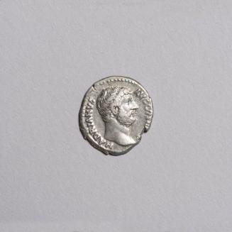 Denarius: Head of Hadrian Right, Left Shoulder Draped; Felicitas Standing Left Holding Cornucopiae and Branch on Reverse