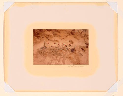 Child's Grave with rosebuds, Hale County, Alabama, 1975