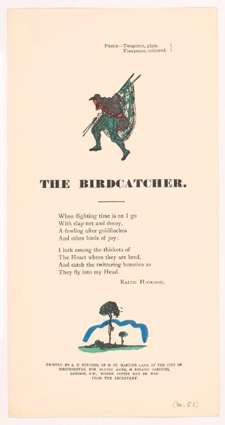 The Birdcatcher