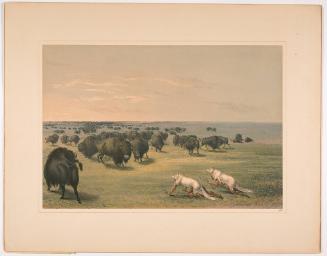 Buffalo Hunt: with Wolf-Skin Mask, plate 13 from Catlin's North American Indian Portfolio