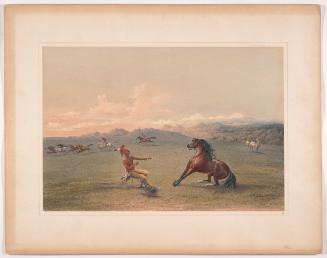Catching the Wild Horse, plate 4 from Catlin's North American Indian Portfolio