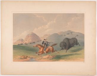 Buffalo Hunt: "Chasing Back," plate 12 from Catlin's North American Indian Portfolio