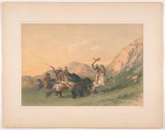 Attack of the Grizzly Bear, plate 19 from Catlin's North American Indian Portfolio