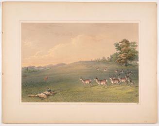 Antelope Shooting, plate 20 from Catlin's North American Indian Portfolio