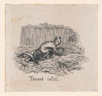 Tenant in Tail, vignette fragment from Plate 5 of Scraps and Sketches, Part IV