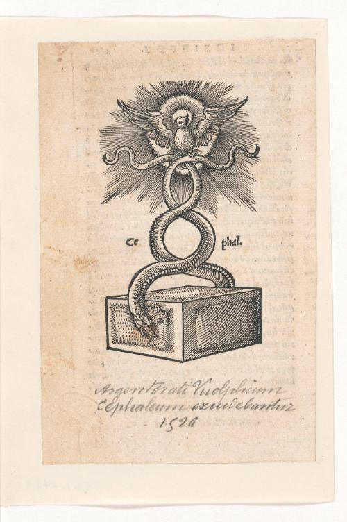 Printers Device: Vuolphium Cephaleum