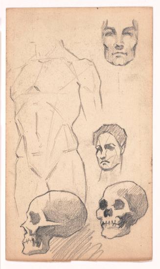 Male Torso, Head, Skulls