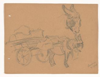 Donkey with Blinders on , Pulling Cart