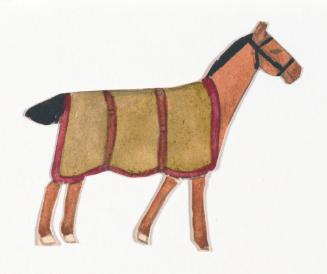 Brown Horse with White Hooves