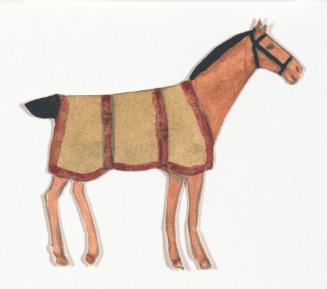 Brown Horse with Brown Hooves