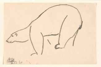 Zoo Sketches:  Polar Bear