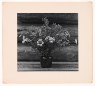 A Bouquet of Wildflowers on the Front Porch of Carl Siembab's Log Cabin, Heath, Massachusetts