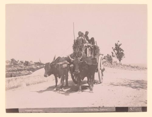 Sicilian Cart