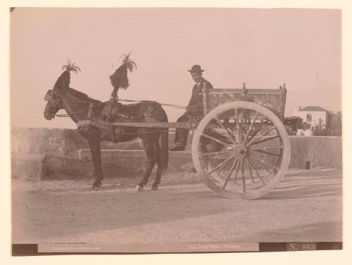 Sicilian Cart