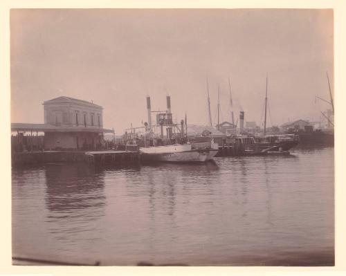 Harbor Scene