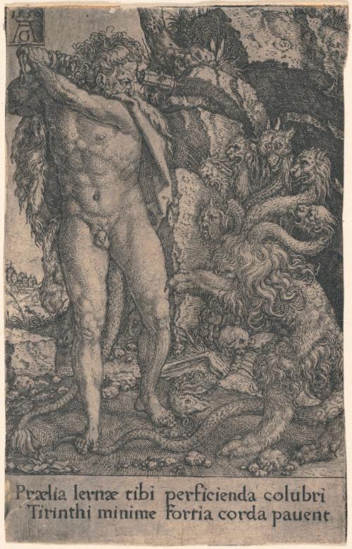 Hercules Fighting with the Hydra of Lernea