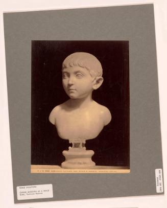 Roma, Museo Vaticano, Caio Nipote Di Augusto (Augustus?)