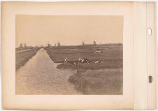 Windmills in a Landscape