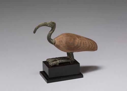 Ibis Figure