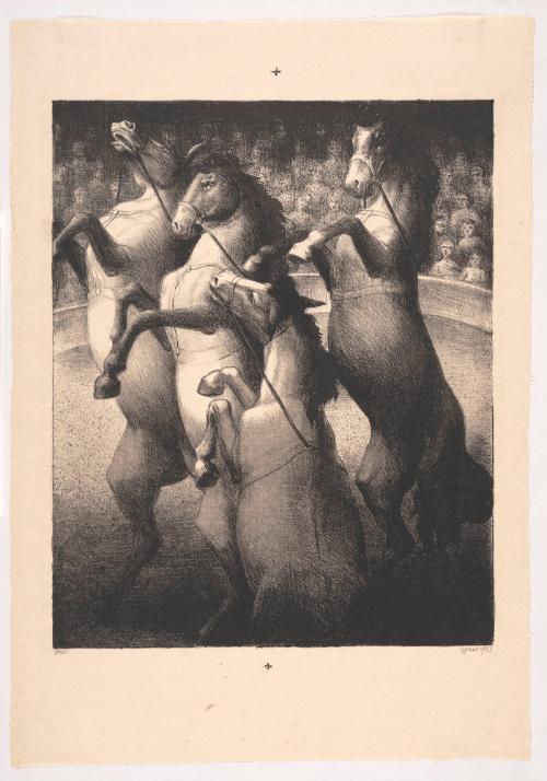 Four Circus Horses