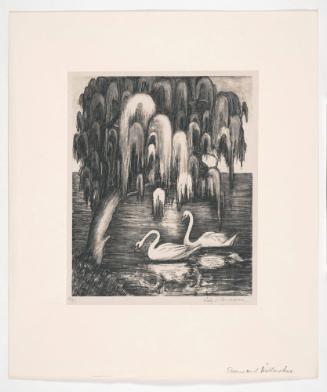 Swans and Willow Tree