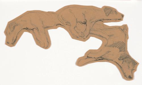 Study of Three Sleeping Puppies