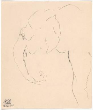 Zoo Sketches:  Elephant