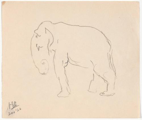 Zoo Sketches:  Elephant