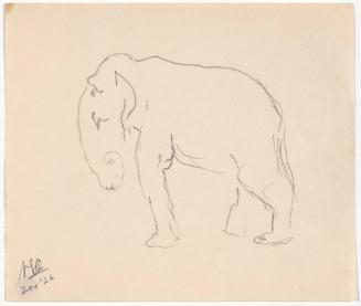 Zoo Sketches:  Elephant